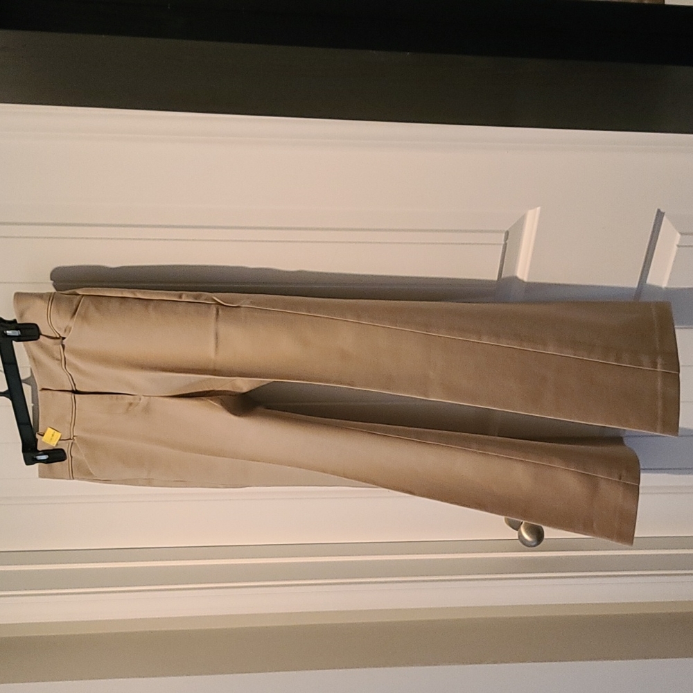 Ann Taylor Dress Pants